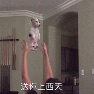 【HARDCORE 】黑色