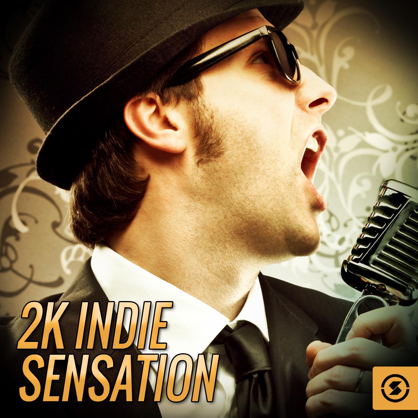 2k Indie Sensation专辑