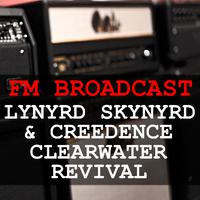 Lynyrd Skynyrd - Freebird (karaoke)