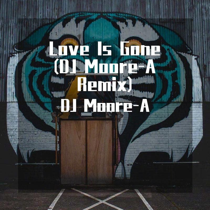 love is gone (dj moore-a remix)(翻自 slander)