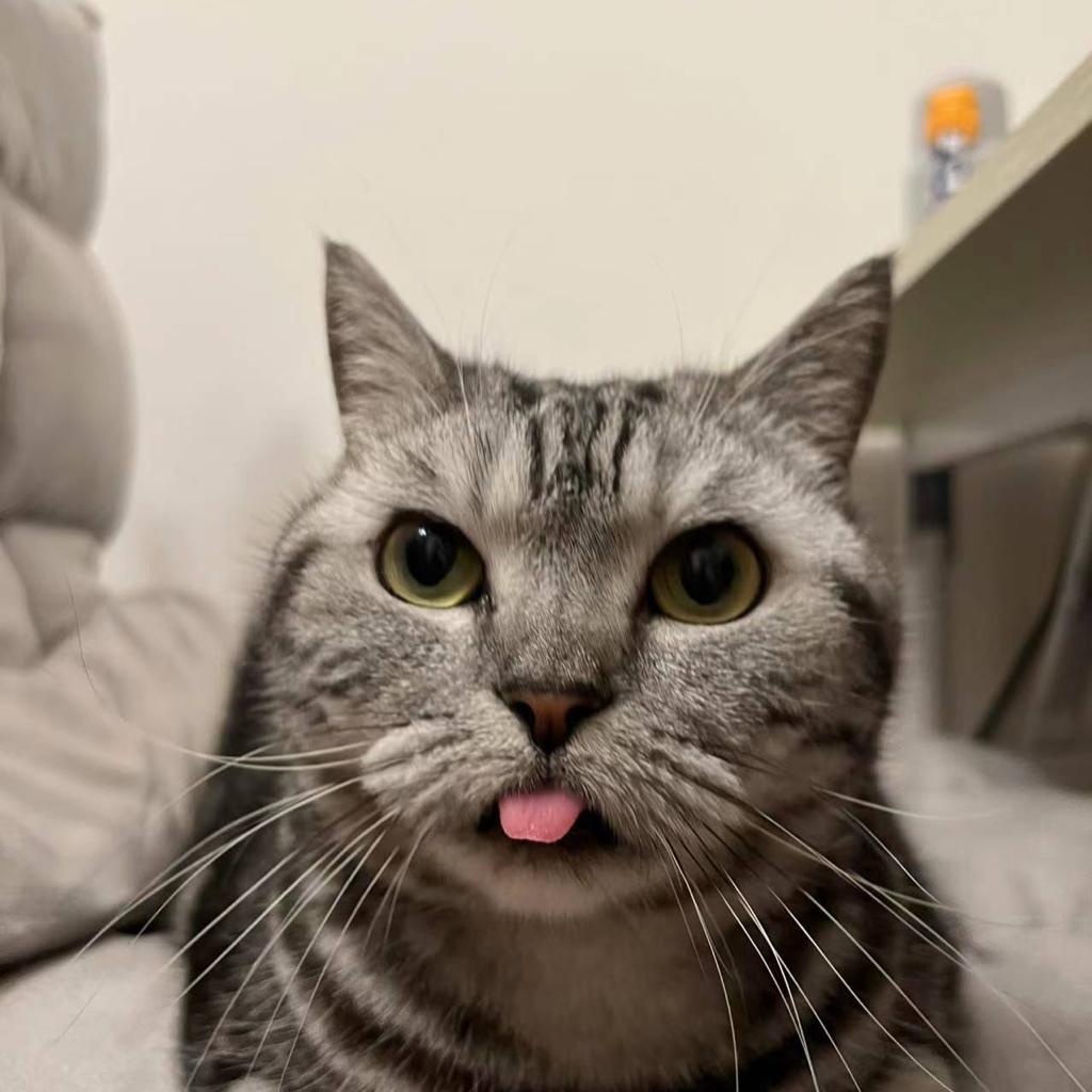 He like it
