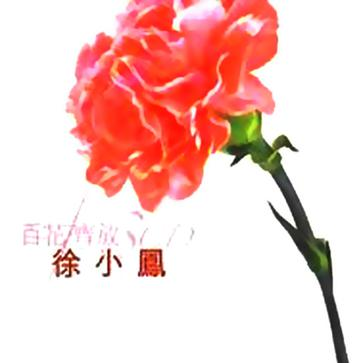 百花齐放专辑