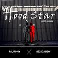 Hood Star(Coco Remix)