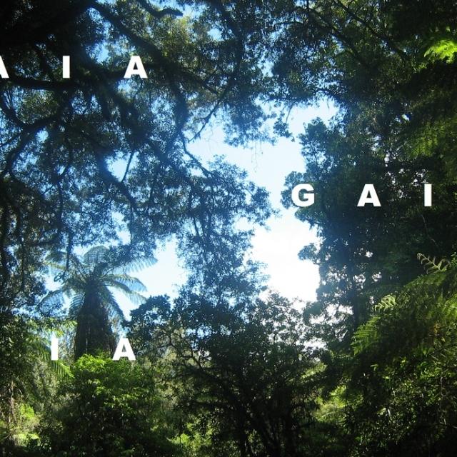 G      A      I      A