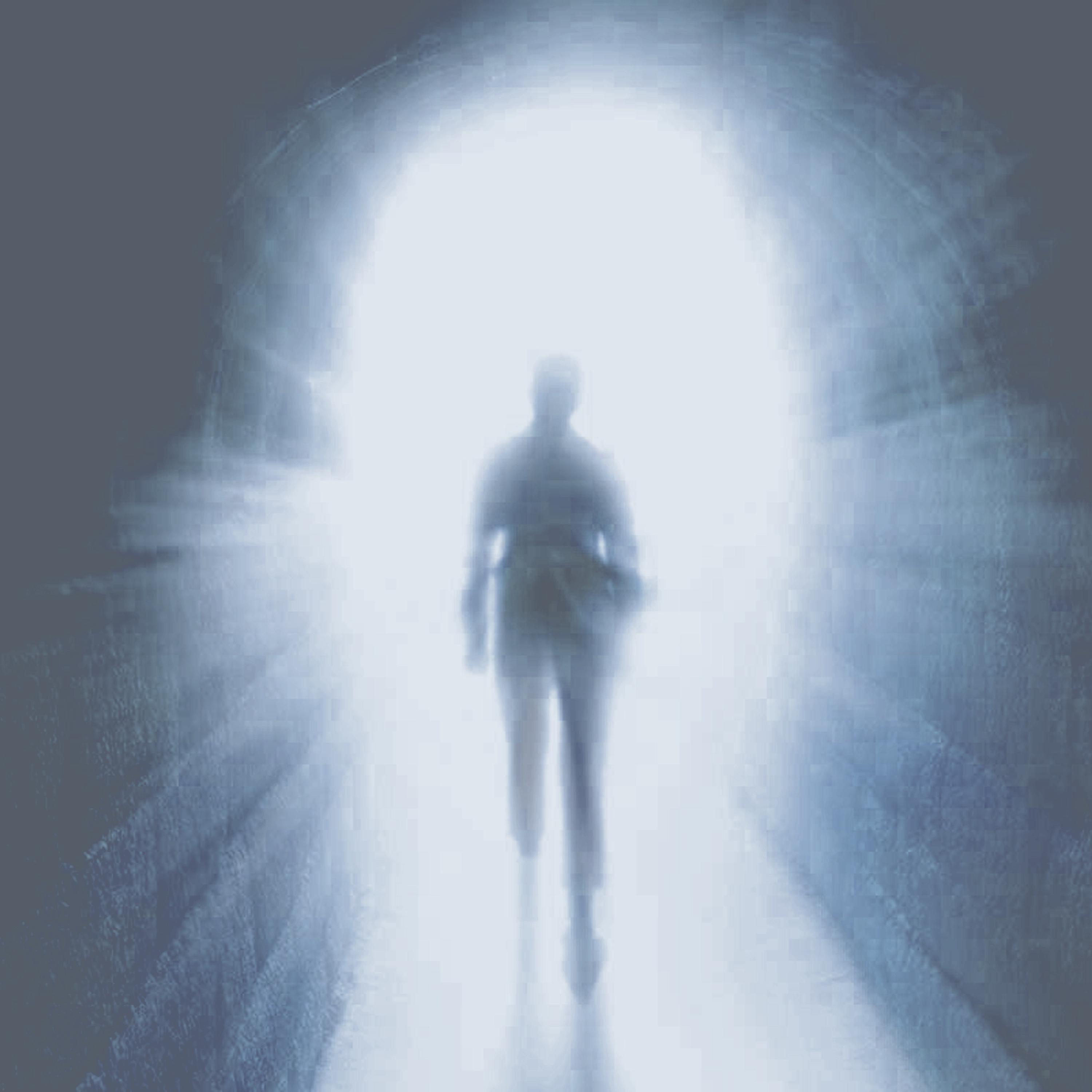 Afterlife