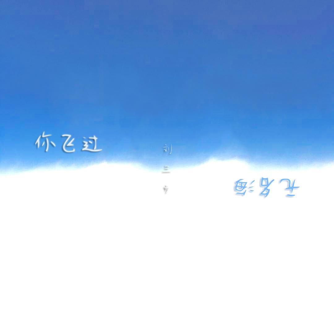你飞过无名海