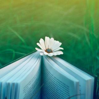 青春是一本书，故事越翻越少