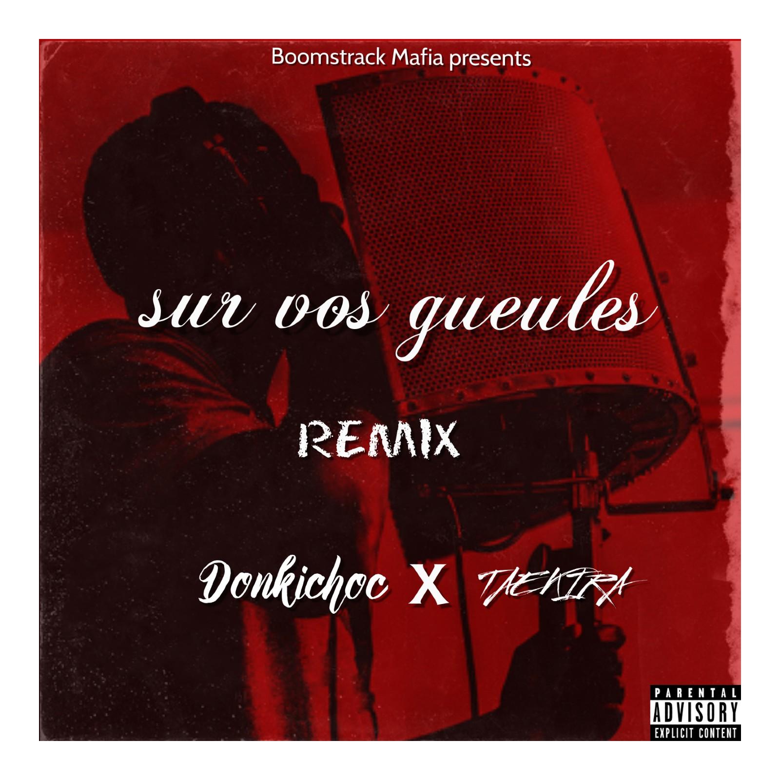 Sur vos gueules (Remix)