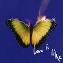 Love Is Like专辑