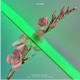 Never Be Like You (Wave Racer Remix)