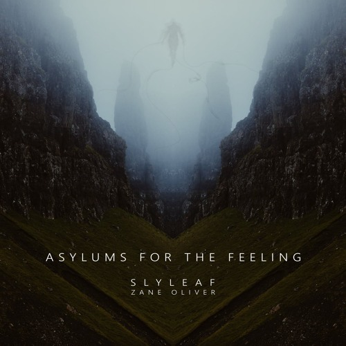 Asylums for the Feeling
