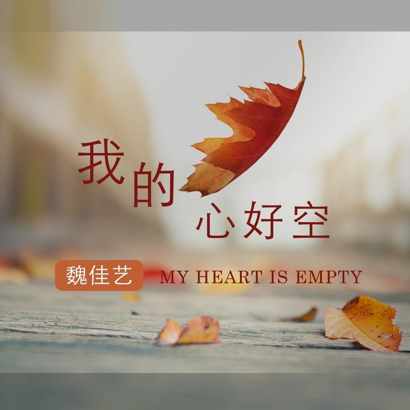 我的心好空（DJ光波版）