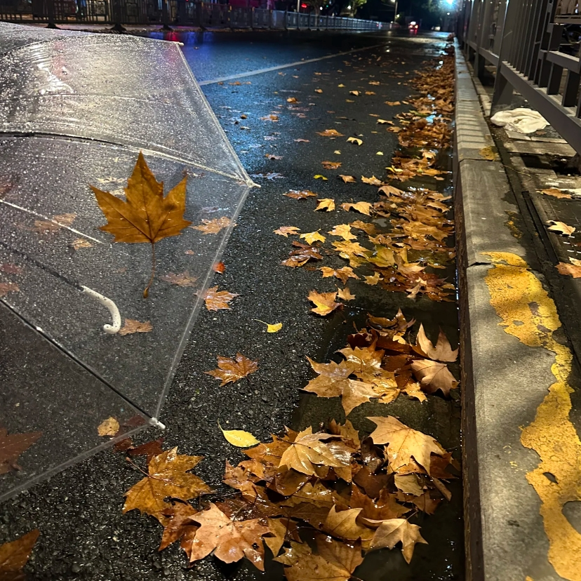 Autumn leaf