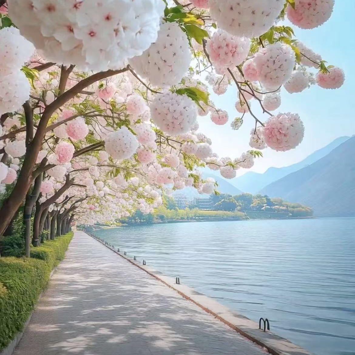 四月的风吹到了湖岸