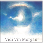 Vidi Vin Morgaŭ专辑