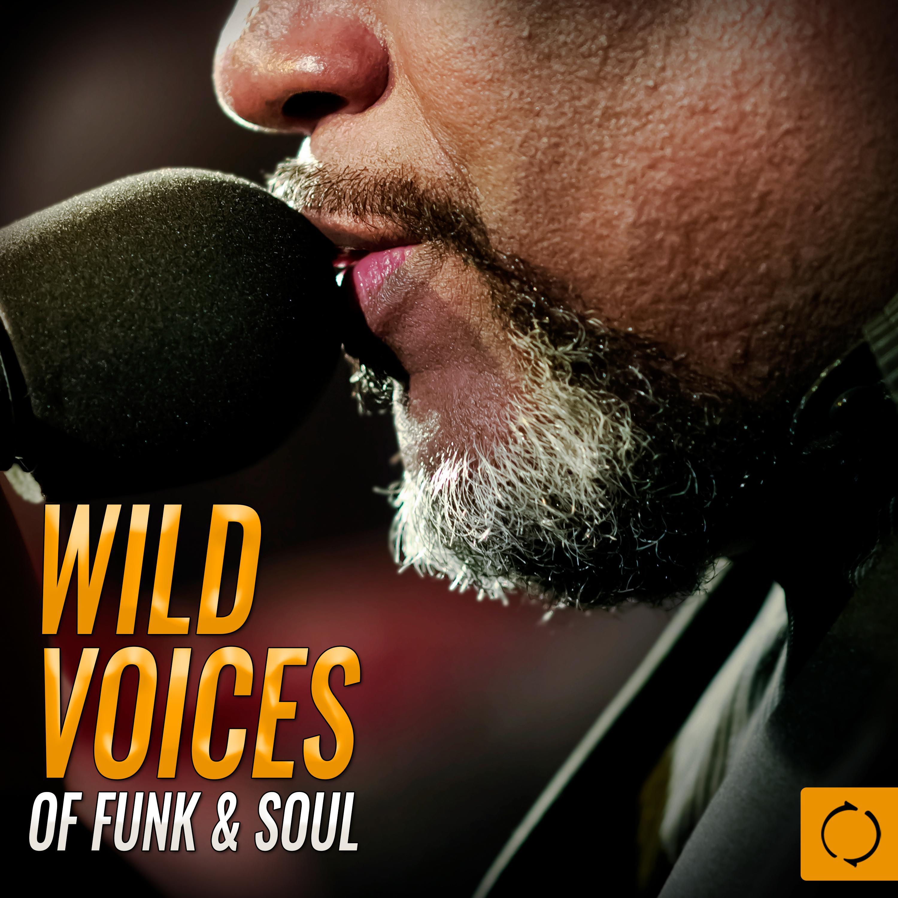 Wild Voices of Funk & Soul专辑