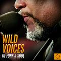 Wild Voices of Funk & Soul