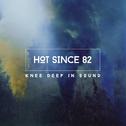 Knee Deep In Sound专辑