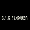 B.I.G. FLOWER