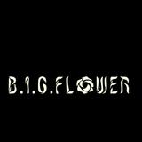 B.I.G. FLOWER