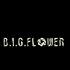 B.I.G. FLOWER