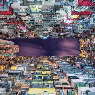 白日梦蓝 | 规格化时代巨塔下的青年惆怅客