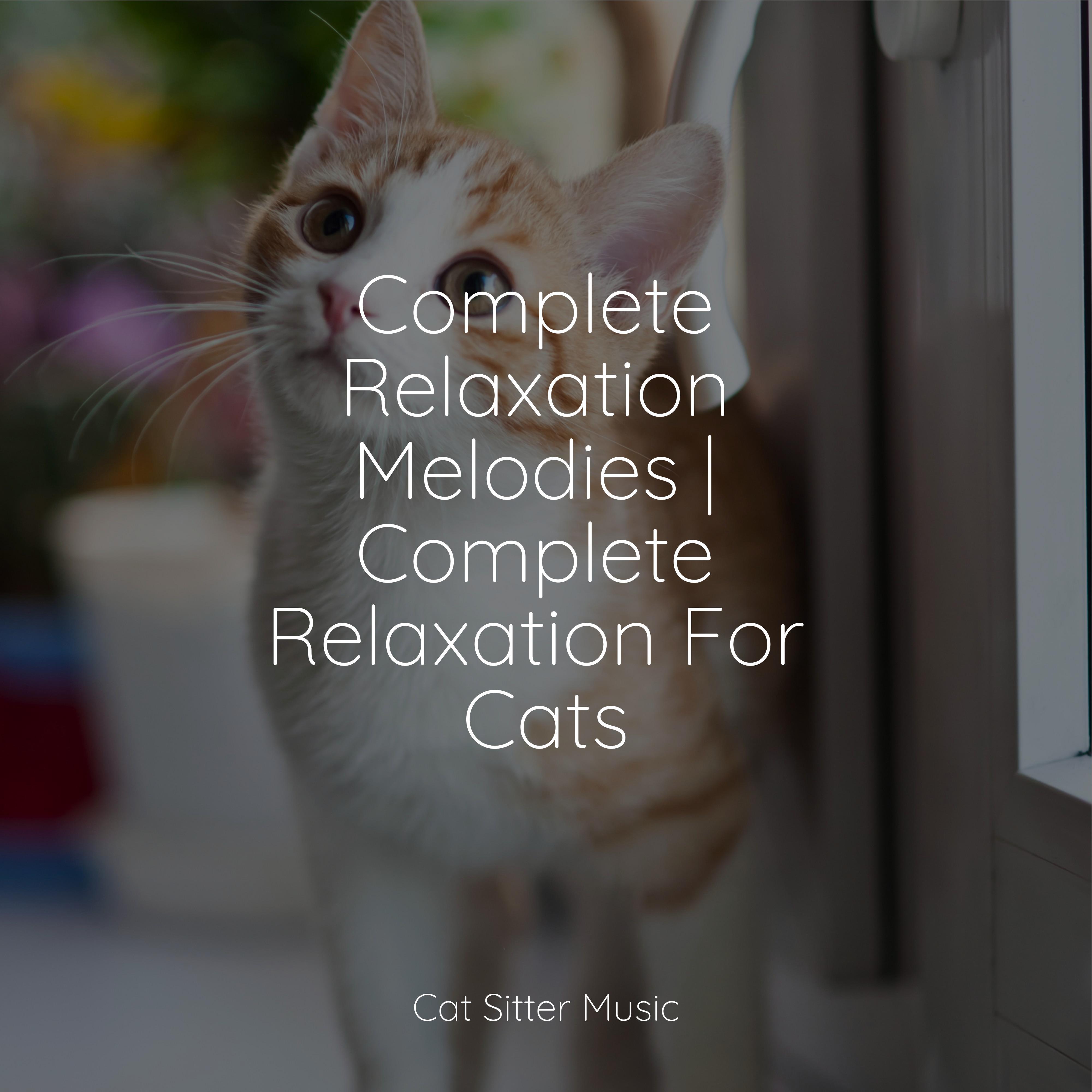 Cat Music - Bliss