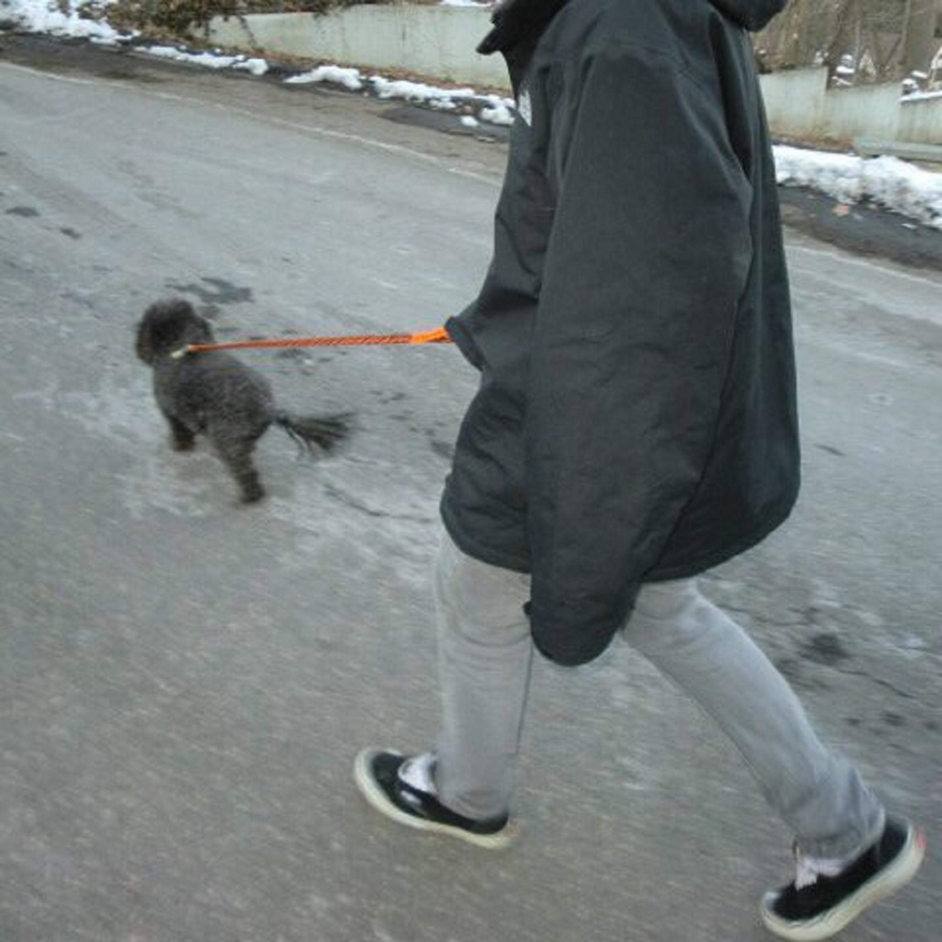 Victory Lap