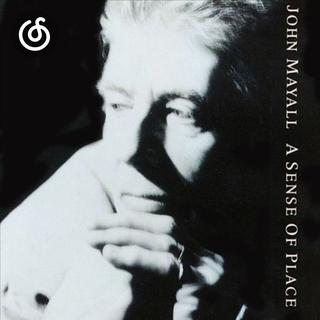 电子蓝调精选|从《Sensitive Kind》听起