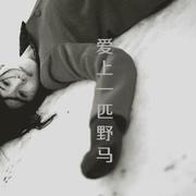 告白气球