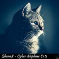 Cyber Airplane Cats