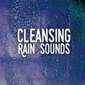 Cleansing Rain Sounds专辑