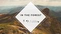 In the forest专辑