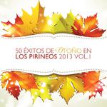 50 Éxitos de Otoño en los Pirineos 2013 Vol. 1专辑