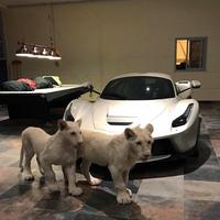 No Broke Boys X Boys Light Up (ColinCoytEdit)