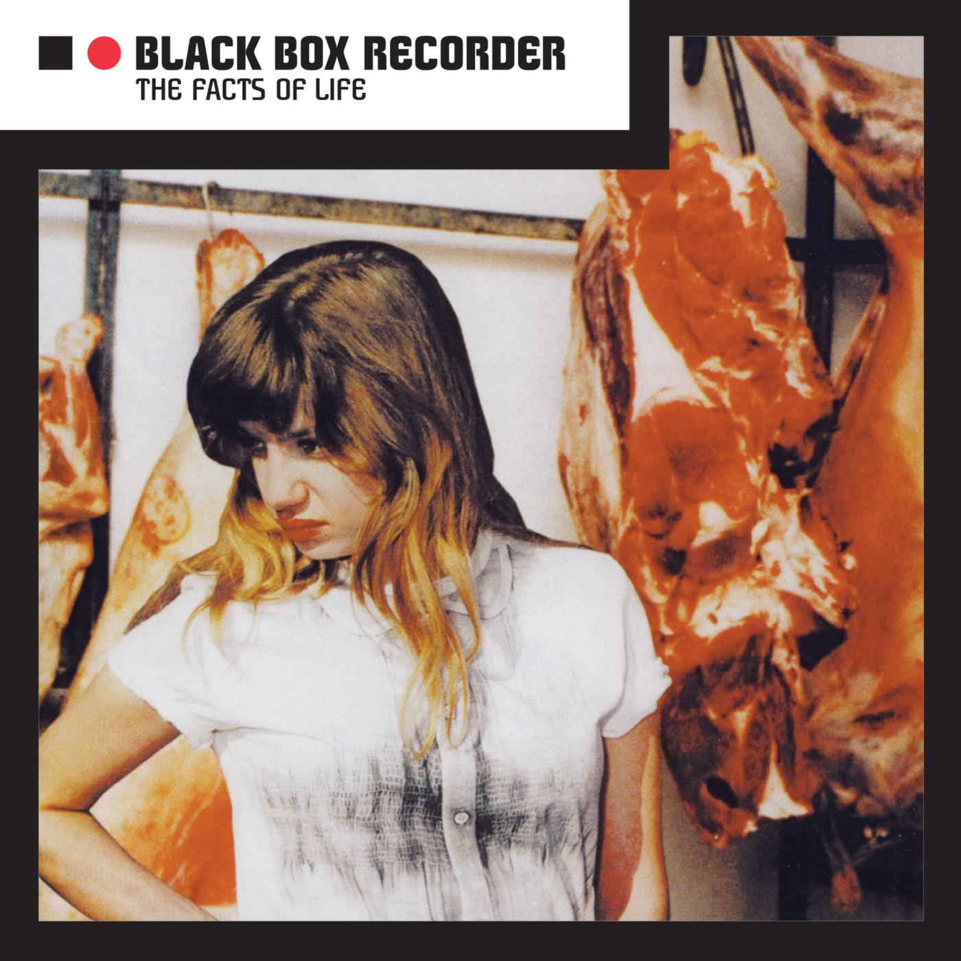 Black Box Recorder - French Rock 'N' Roll