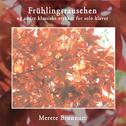Merete Brønnum - Frühlingsrauschen专辑