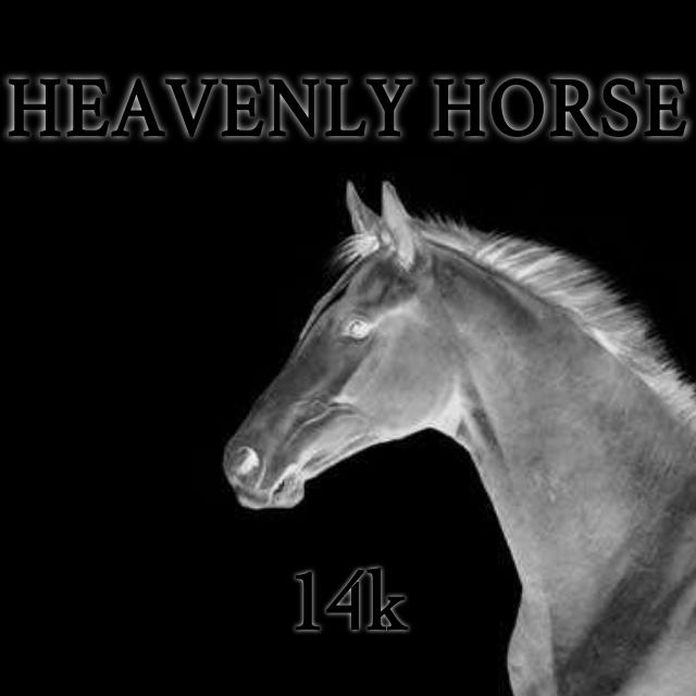 Heavenly Horse (Original Mix)专辑