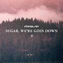 Sugar, We're Goin Down专辑