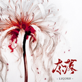 Lycoris