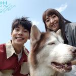 电视剧《想见你》原声带(史上最全)