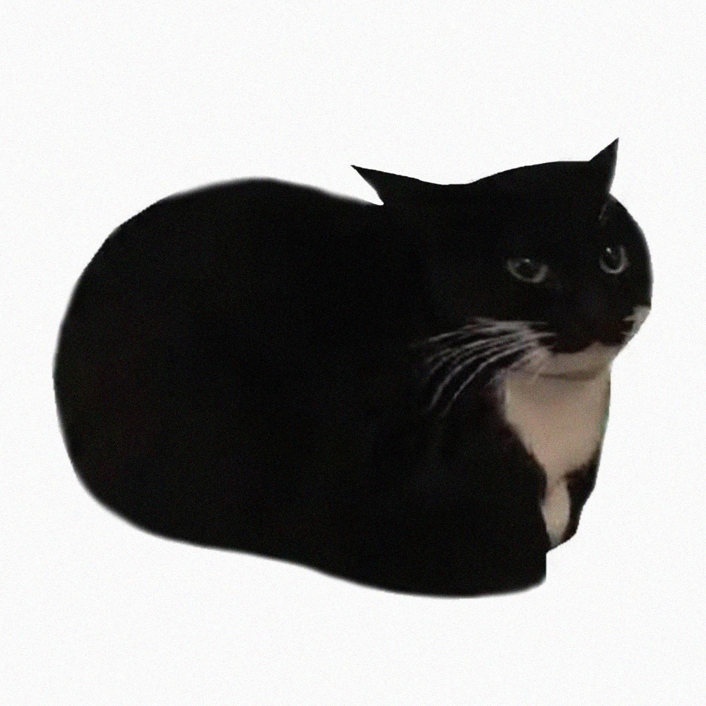 Maxwell the Cat Theme