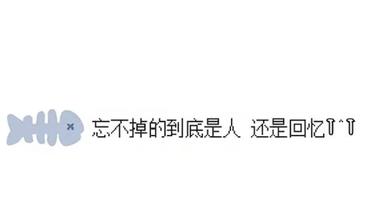 楠