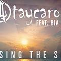 Chasing The Sun （FlicFlac Remix）