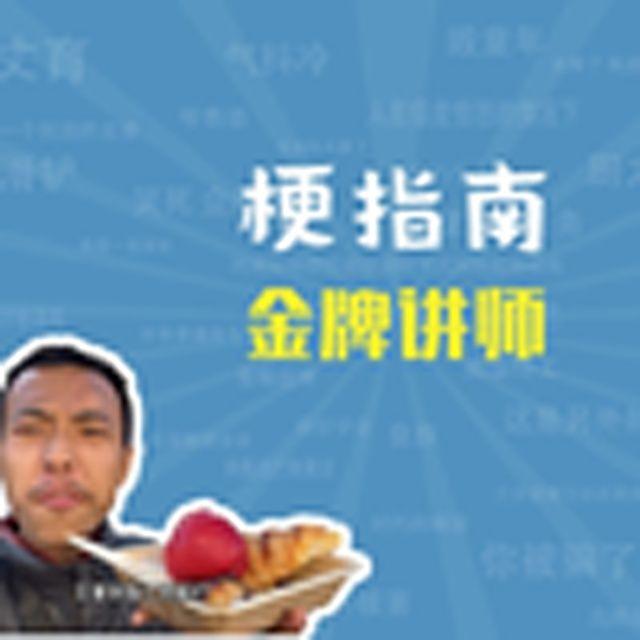 金牌讲师是什么梗【梗指南】