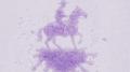 Codeine Cowboy
