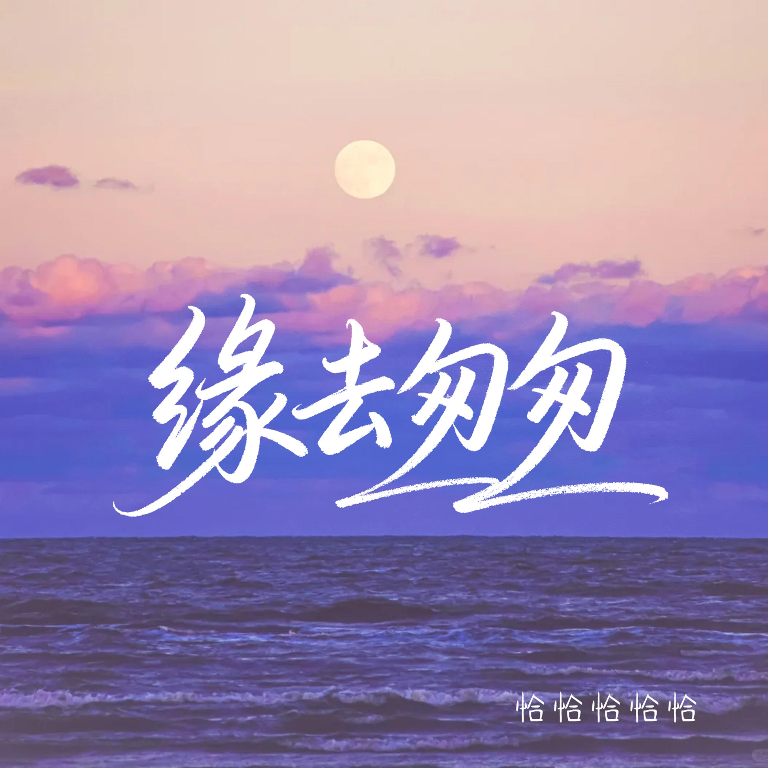 缘去匆匆