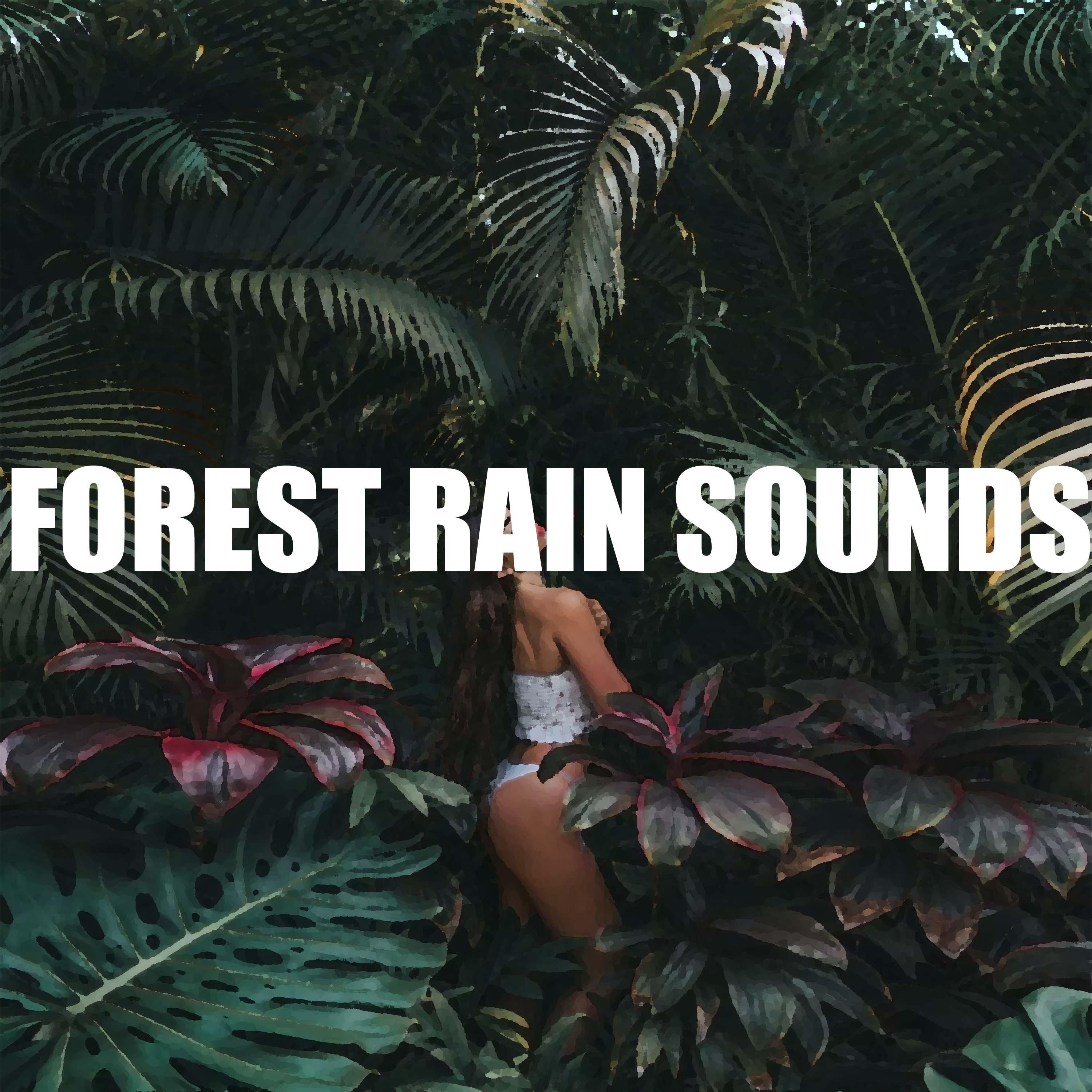 Forest Rain Sounds