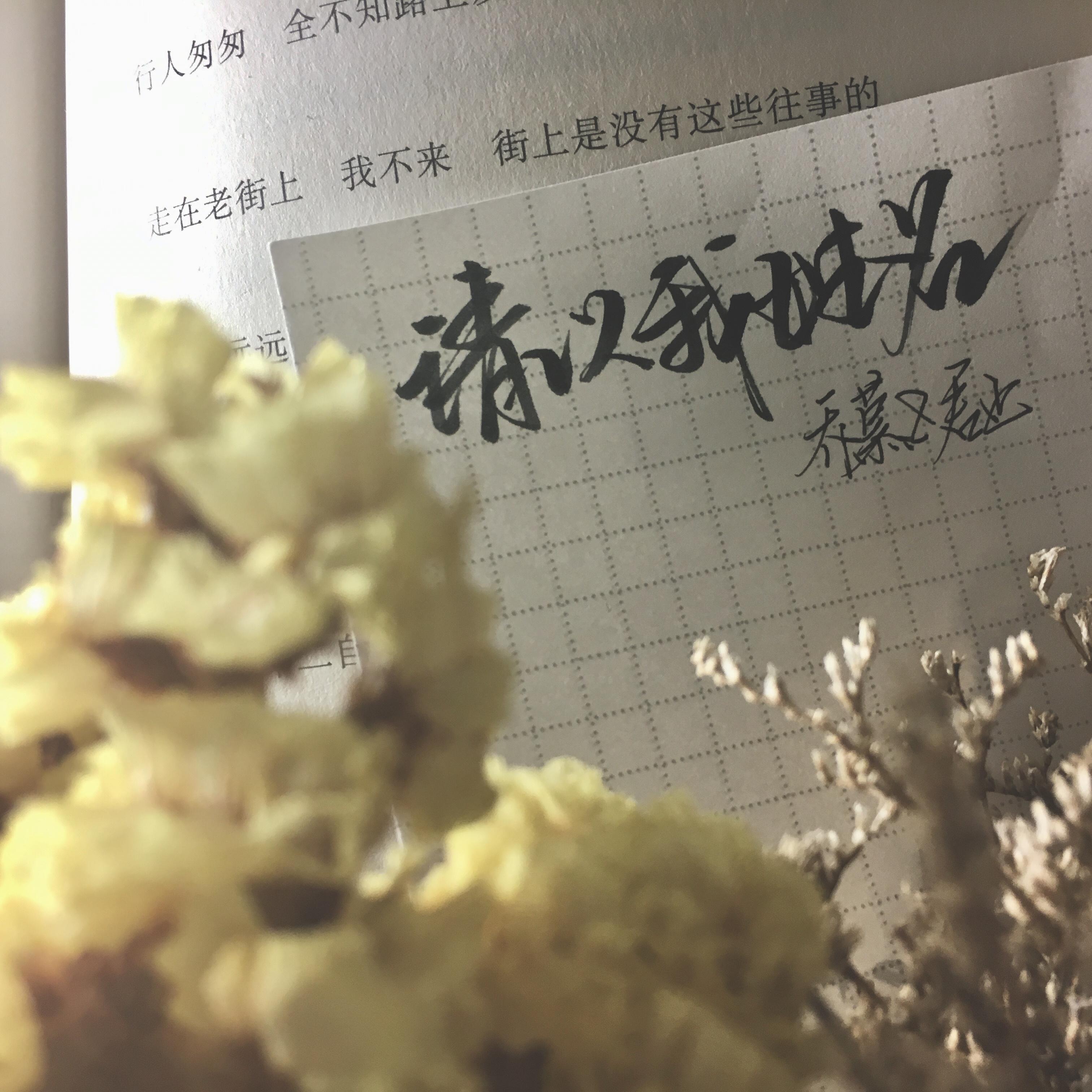 请以我姓名——慕寒2020年生贺