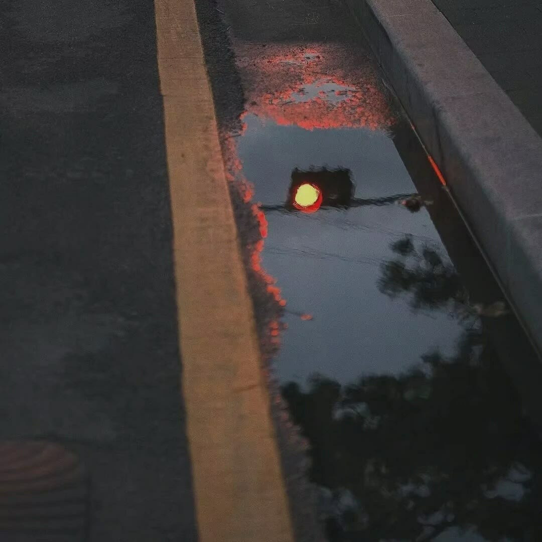 珊瑚海（吉他弹唱）